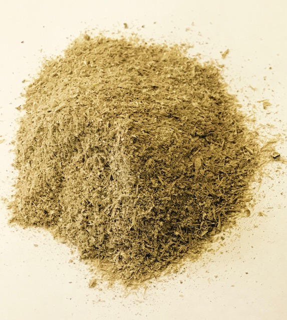 ����� ������ �������