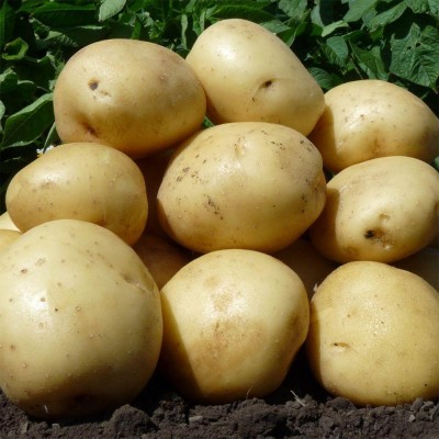 ��������� ��������� ����� ��� ������ � ���